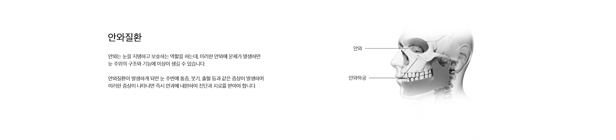 안와질환